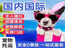 黑河航空物流国际宠物托运 【国